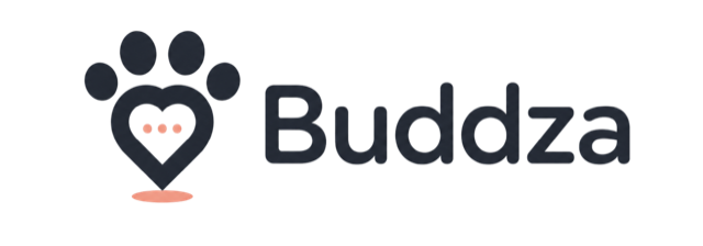 Buddza
